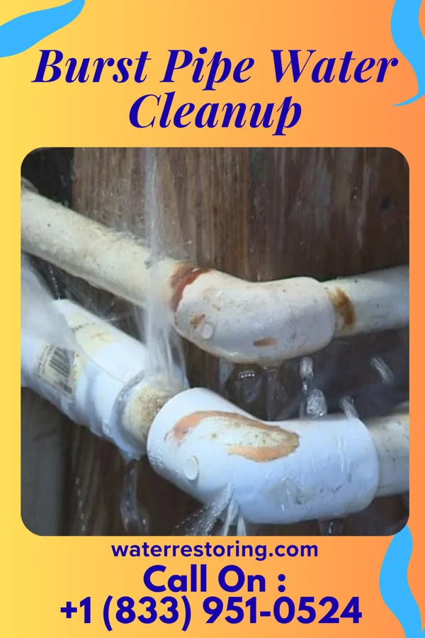 Burst Pipe Water Cleanup in East Dubuque, IL