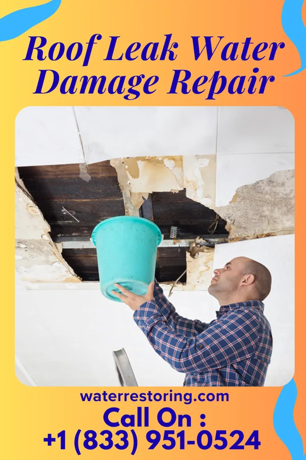 Roof Leak Water Damage Repair in East Dubuque, IL