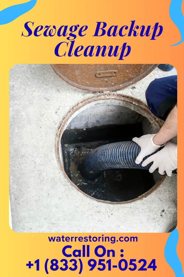 Sewage Backup Cleanup in East Dubuque, IL