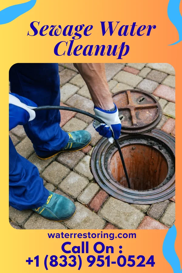 Sewage Water Cleanup in East Dubuque, IL