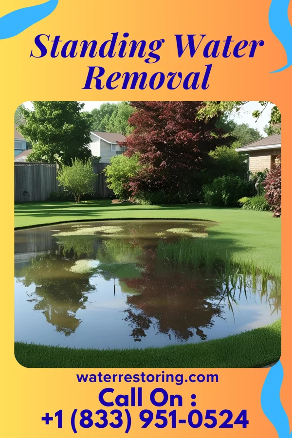 Standing Water Removal in East Dubuque, IL